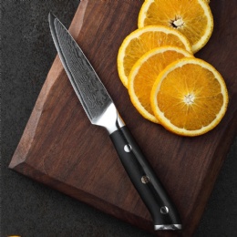 china supplier 3.5 inch Damascus fruit paring knife